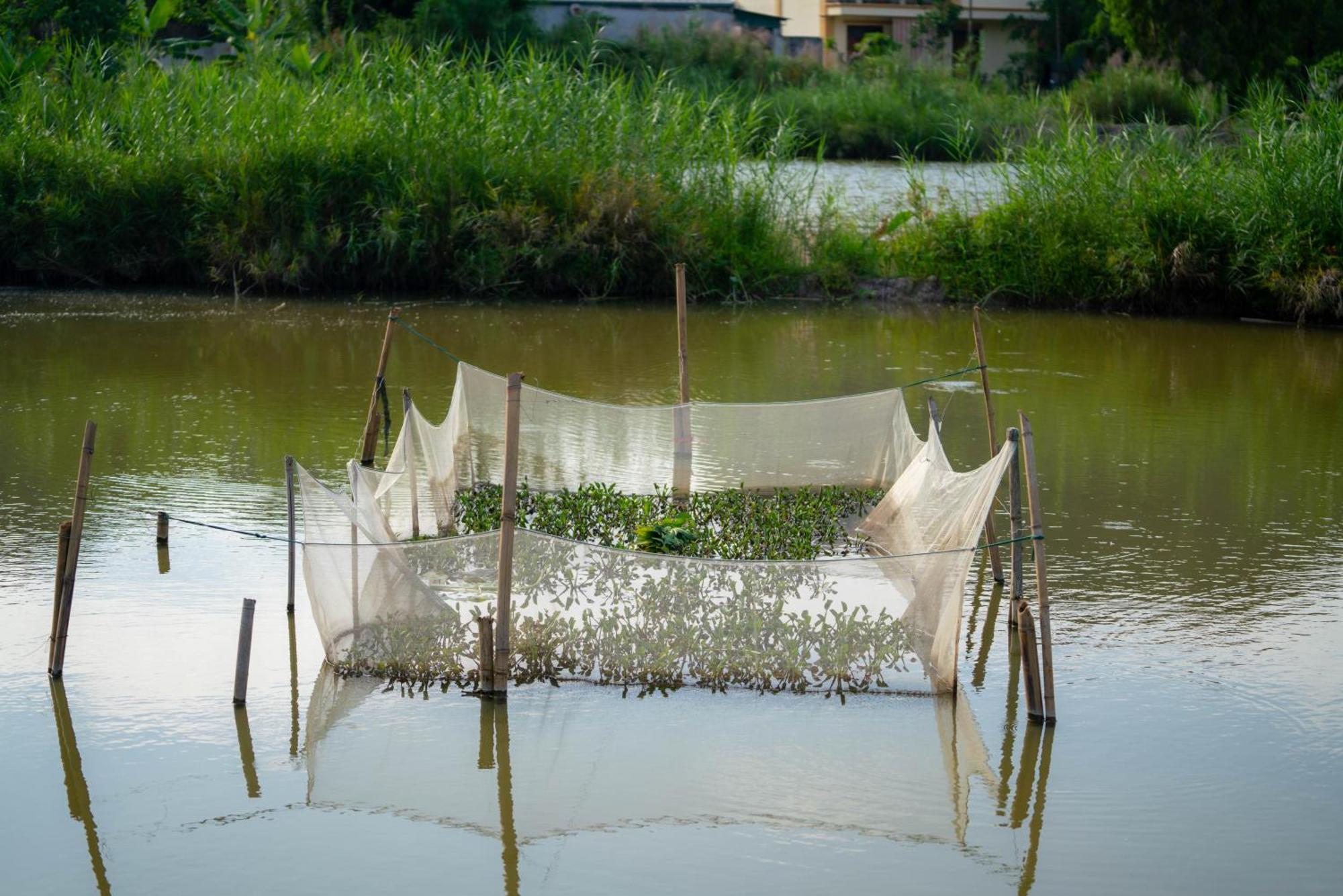 Tan Dinh Farmstay Ниньбинь Экстерьер фото